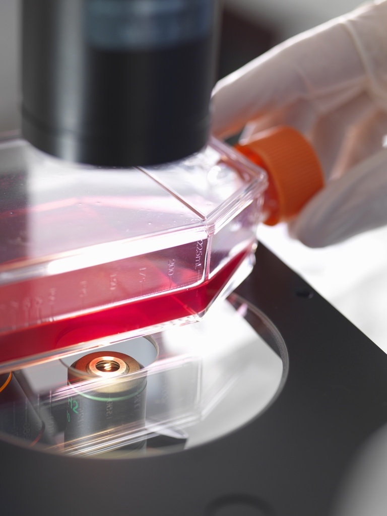 CHO-K1/ BTLA Stable Cell Line