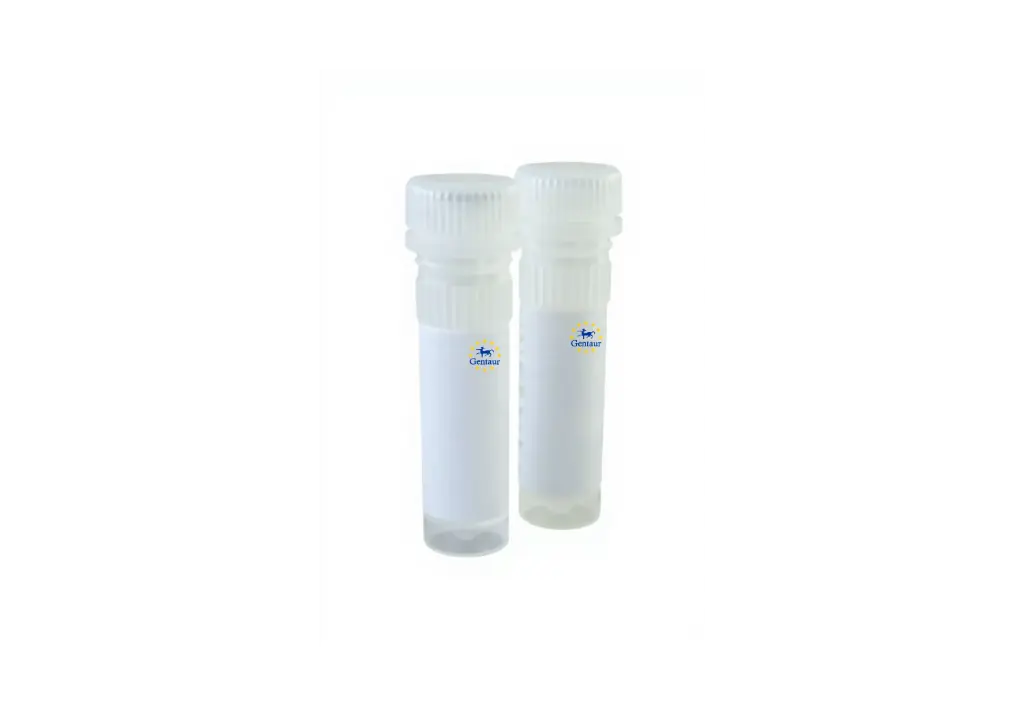  dna plasmid prep kit maxi 