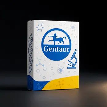 Bordetella pertussis IgA