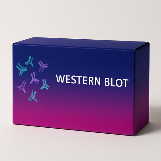 [WB-0037] TBS Buffer (5X) 5 liter - 5 X 1 L