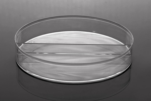 [GEN-NST-753011] 100 x 15 mm Petri Dish, I-Plate (2-Section), Stackable Petri Dish, Polished Polystyrene, RNase and DNase Free, Sterile 