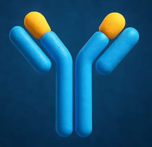 [ML-AS-1654] Goat Anti-Rat IgG2b Antibody
